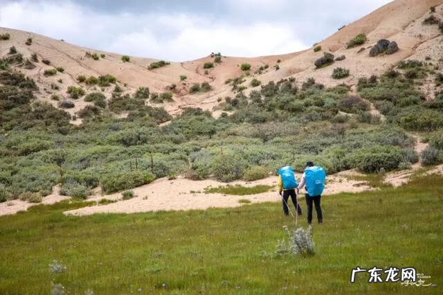 神奇宝贝国语全集免费观看 神奇宝贝国语版