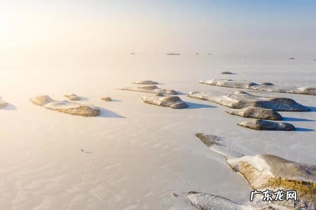 神奇宝贝国语全集免费观看 神奇宝贝国语版