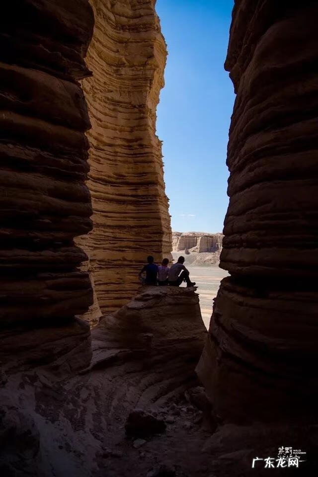 神奇宝贝国语全集免费观看 神奇宝贝国语版