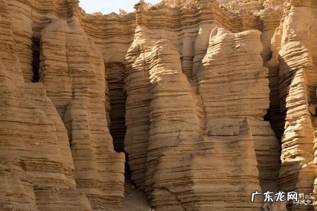 神奇宝贝国语全集免费观看 神奇宝贝国语版
