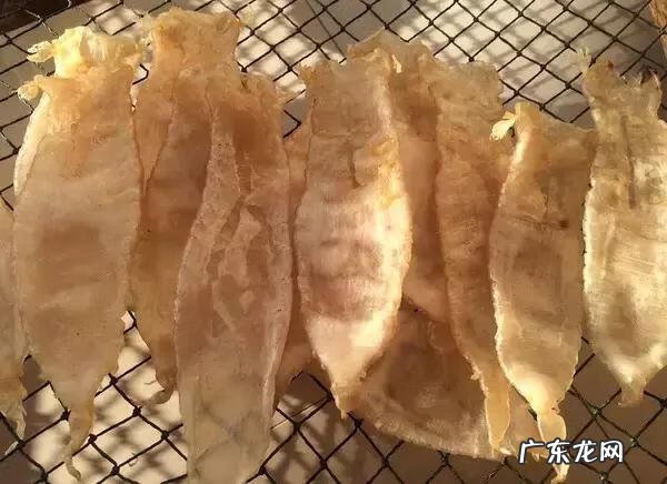 花胶到底是什么 花胶是啥东西