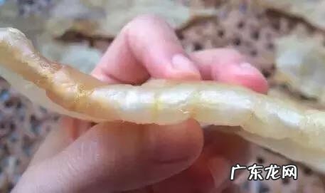 花胶到底是什么 花胶是啥东西