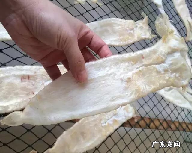 花胶到底是什么 花胶是啥东西