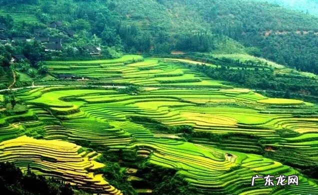 昭平风水山脉图 广西昭平观音庙风水如何