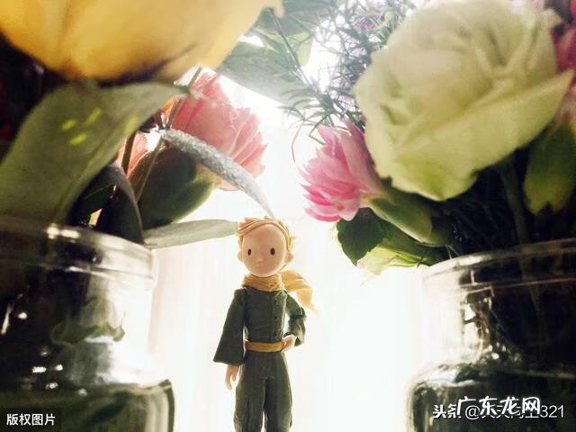 儿童话剧剧本大全 简单的儿童剧剧本