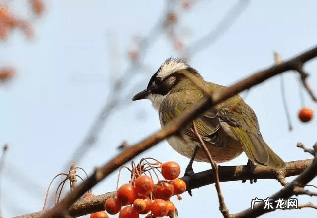 掌上断风水 风水一道关