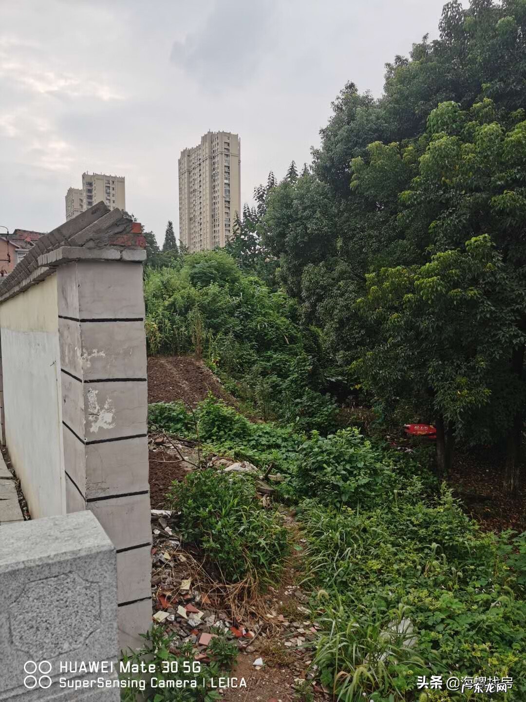 绿都金科和宁文华府口水 荷花垄美的金科华府风水