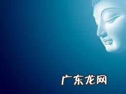 金刚菩提风水作用 金刚菩提树的风水作用