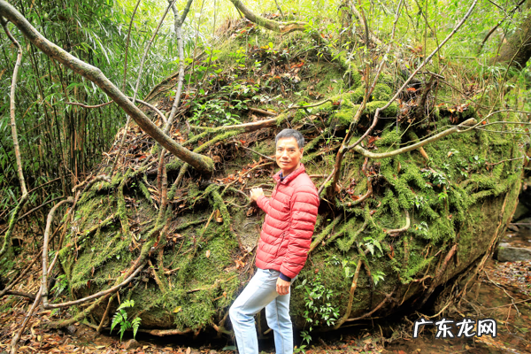 太姥山介绍 太姥山天柱风水如何