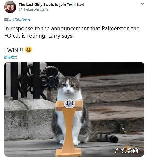 palmers还是belli好 palmerston