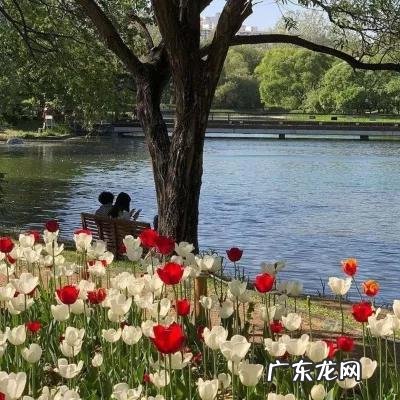 致敬老师的诗 赞颂老师的诗词长篇