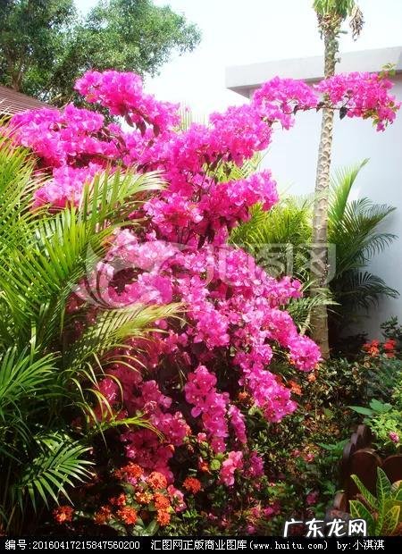 致敬老师的诗 赞颂老师的诗词长篇