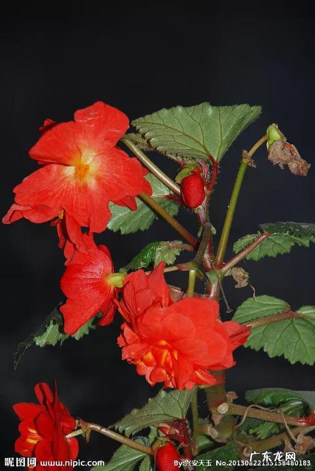 致敬老师的诗 赞颂老师的诗词长篇