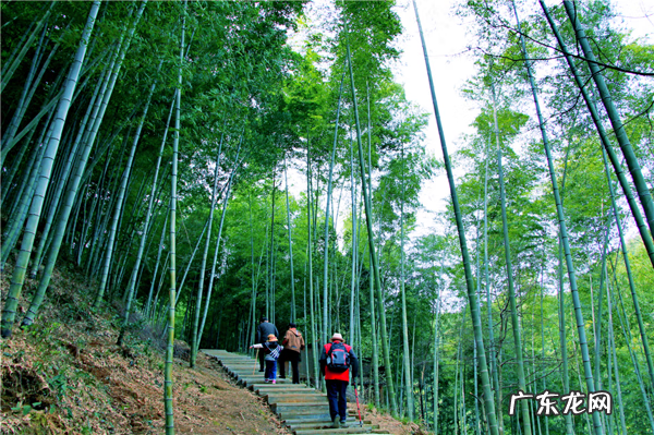 安徽最厉害的风水大师 安徽风水最好的地方