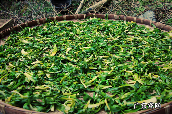 安徽最厉害的风水大师 安徽风水最好的地方