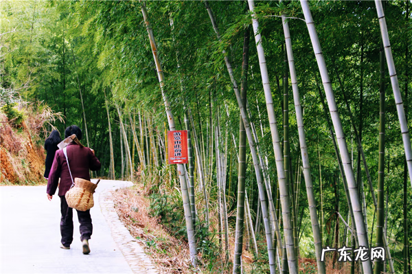 安徽最厉害的风水大师 安徽风水最好的地方