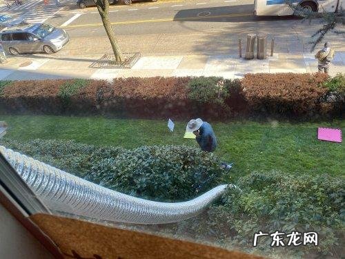 不给糖就捣蛋可怕 不给糖就捣乱是什么节日