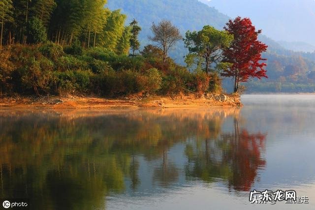 王维作者简介 王维简介字什么,号什么