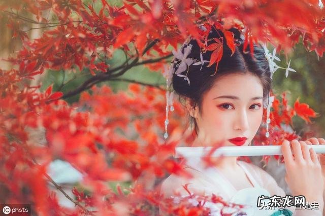 王维作者简介 王维简介字什么,号什么