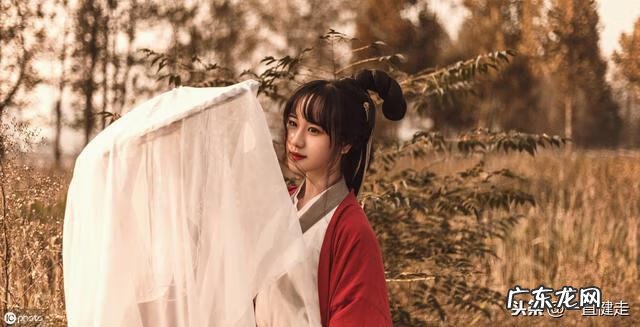 王维作者简介 王维简介字什么,号什么