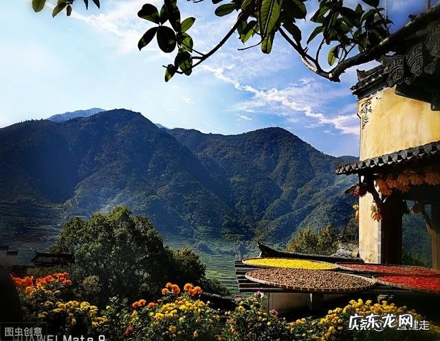 王维作者简介 王维简介字什么,号什么