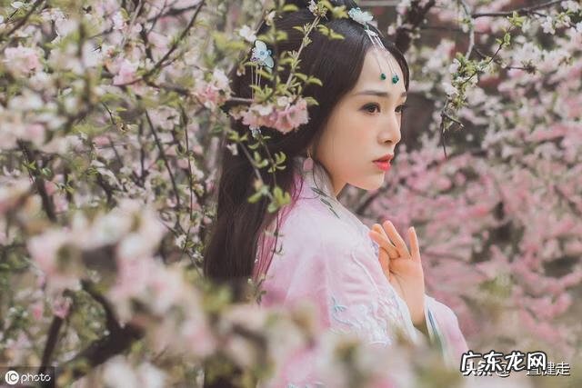 王维作者简介 王维简介字什么,号什么