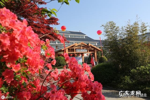 王维作者简介 王维简介字什么,号什么