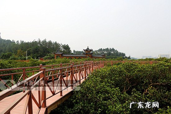 钦州绿地香港 钦州绿地香港楼盘的风水好吗