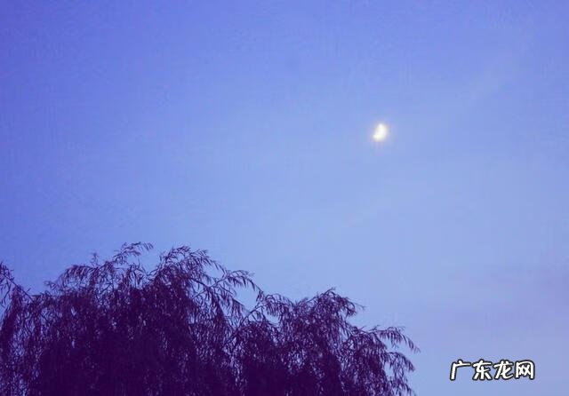 关于中秋的诗句词 关于中秋的诗句有哪些?