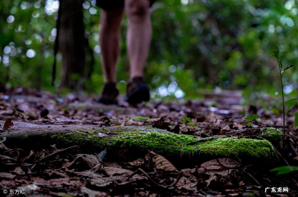 33层买楼房几层最好风水 普洱市33层哪一层风水最好
