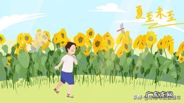 再寄小读者阅读答案 再寄小读者的读后感