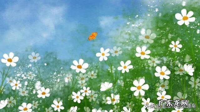 再寄小读者阅读答案 再寄小读者的读后感