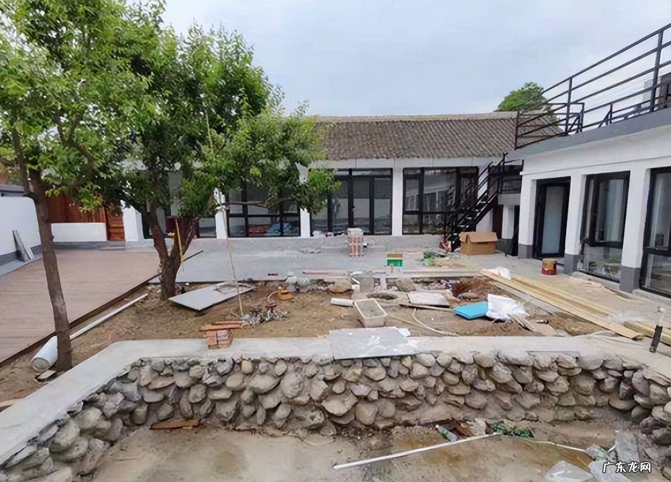 老树有什么风水迷信 老祖宗风水树图片大全