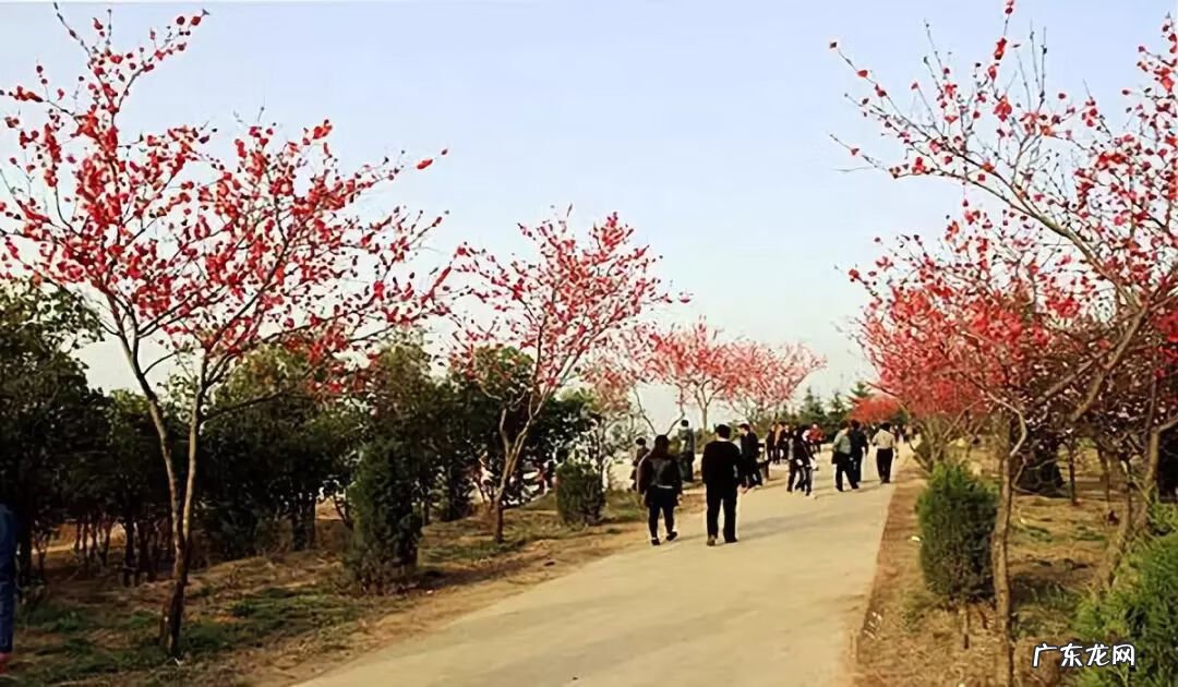 农村家里供奉的神仙 农村有神仙的风水吗