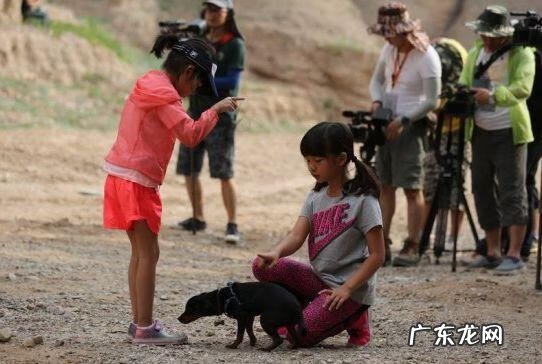 多多和黄磊是什么关系 黄磊多多大名
