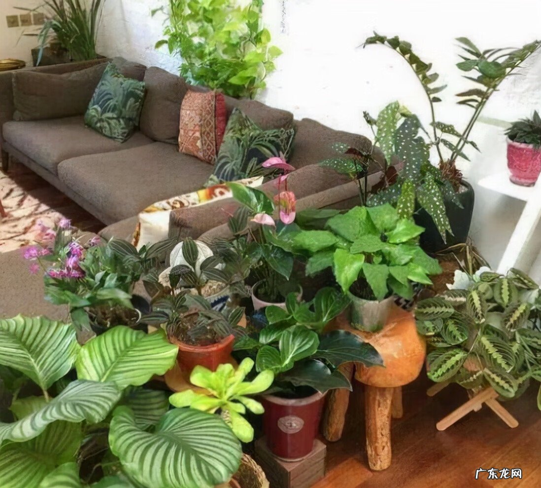 花盆烂了有什么寓意 花盆烂了放在家里破家里的风水吗