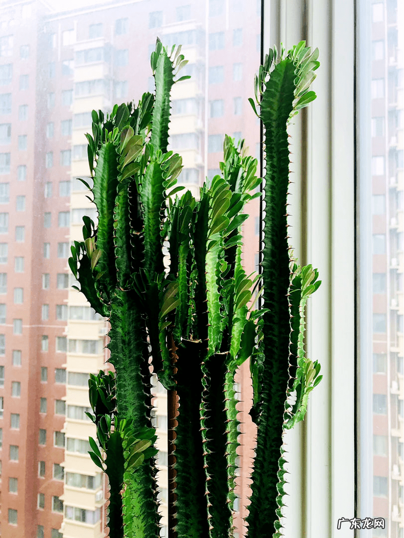 花盆烂了有什么寓意 花盆烂了放在家里破家里的风水吗