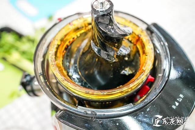 榨汁机十大名牌 什么牌子的榨汁机好