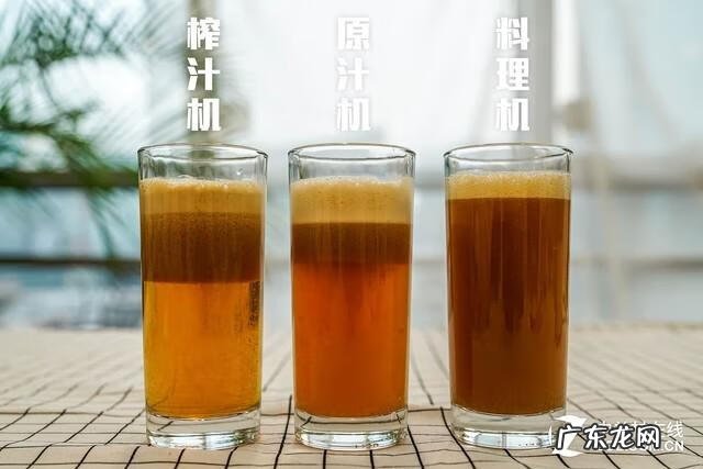 榨汁机十大名牌 什么牌子的榨汁机好