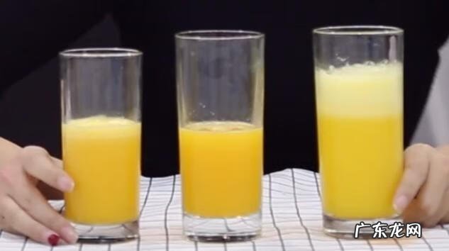 榨汁机十大名牌 什么牌子的榨汁机好