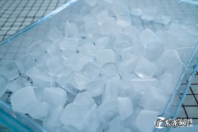 榨汁机十大名牌 什么牌子的榨汁机好