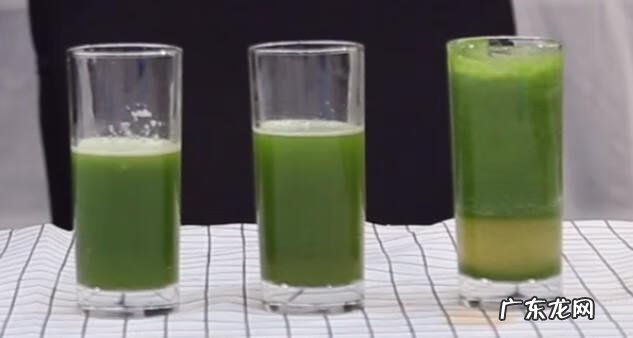 榨汁机十大名牌 什么牌子的榨汁机好