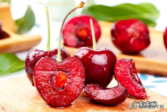 车厘子和樱桃一样吗 车厘子和樱桃有何区别