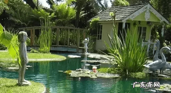 石头风水作用 石头上种树风水好吗