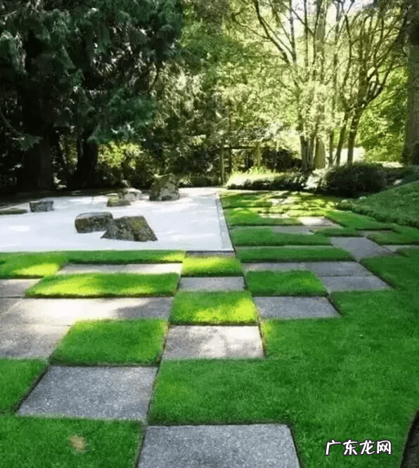 石头风水作用 石头上种树风水好吗