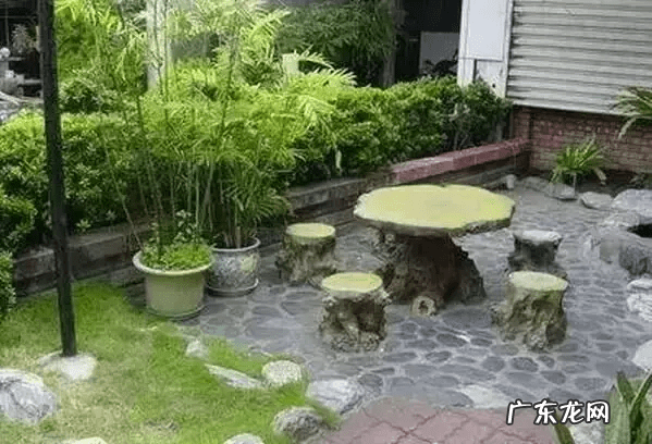 石头风水作用 石头上种树风水好吗