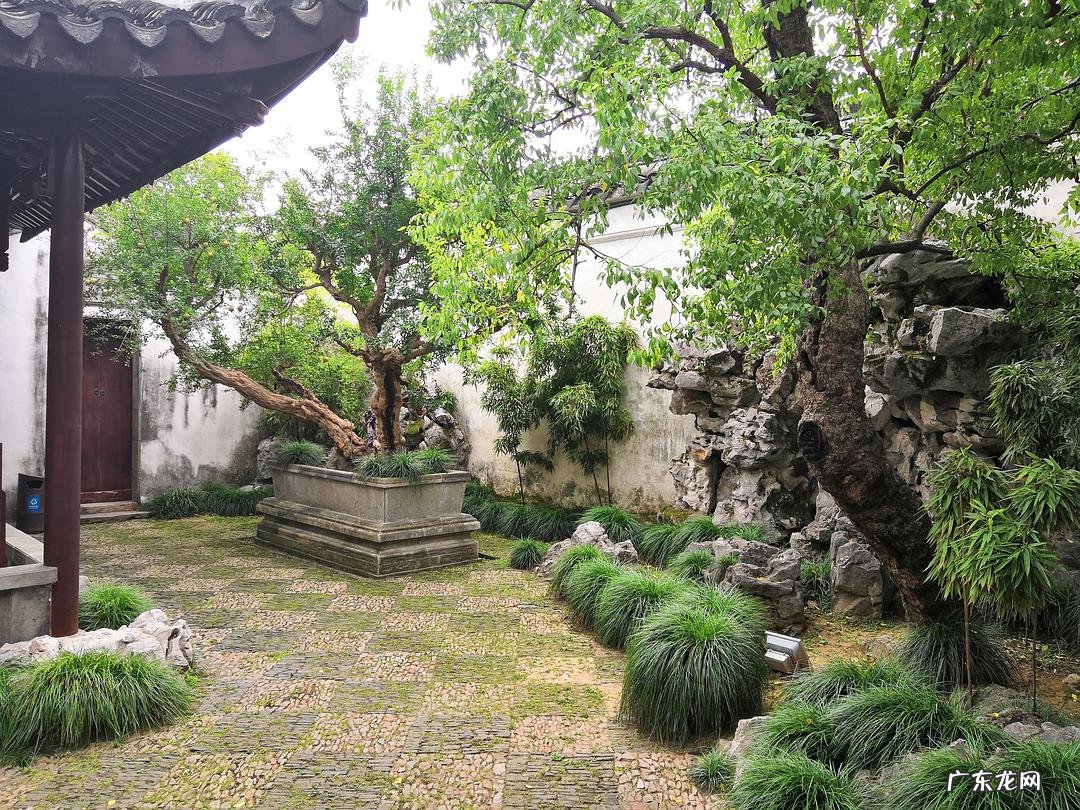 发几十亿富翁风水宝地 富豪家的风水树木