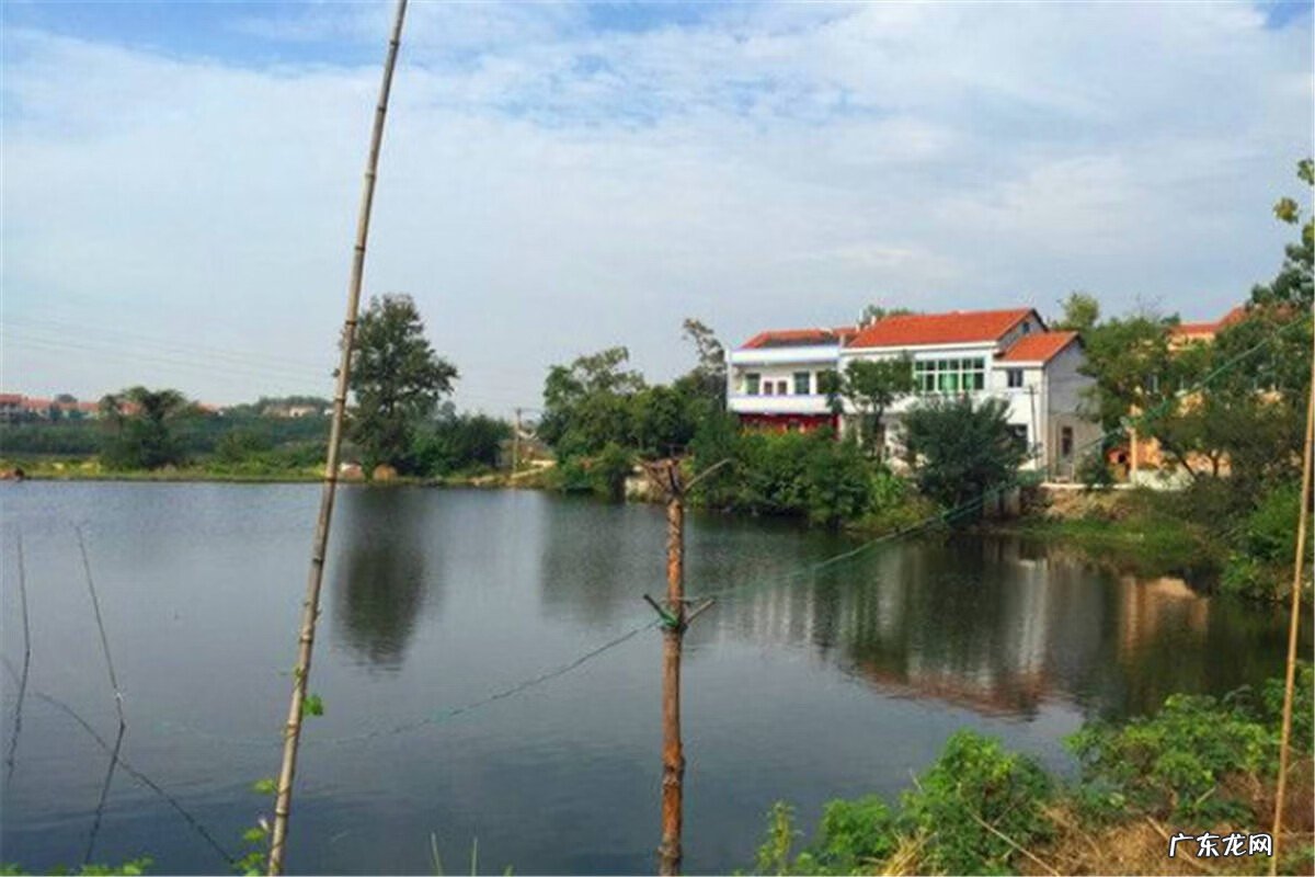 门口有池塘风水好不好 家门口池塘风水