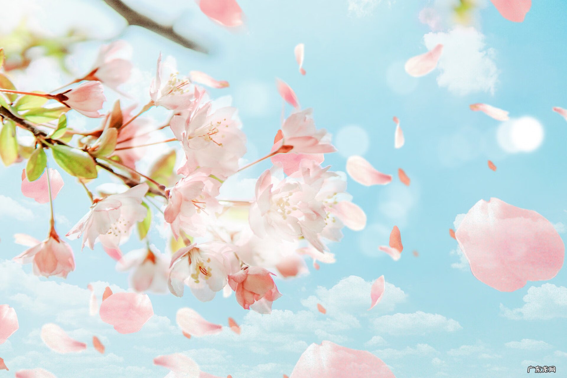 坟地北高南低好不好 风水格局长远说明坟主人层次高