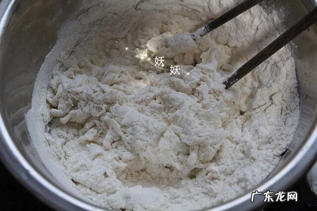 猪肉大葱馅饺子做法 猪肉大葱饺子馅用什么肉